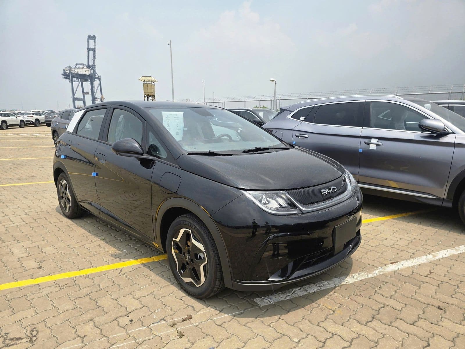 BYD Dolphin 2026 cập cảng Việt Nam, giá giảm mạnh