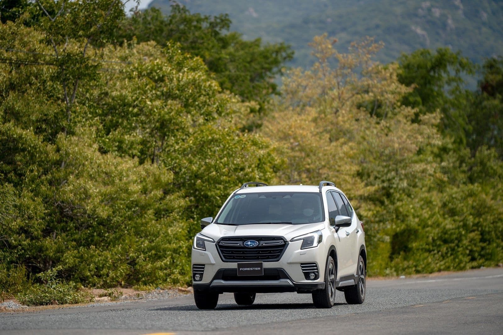 Subaru Forester được giảm tới 360 triệu tại Việt Nam