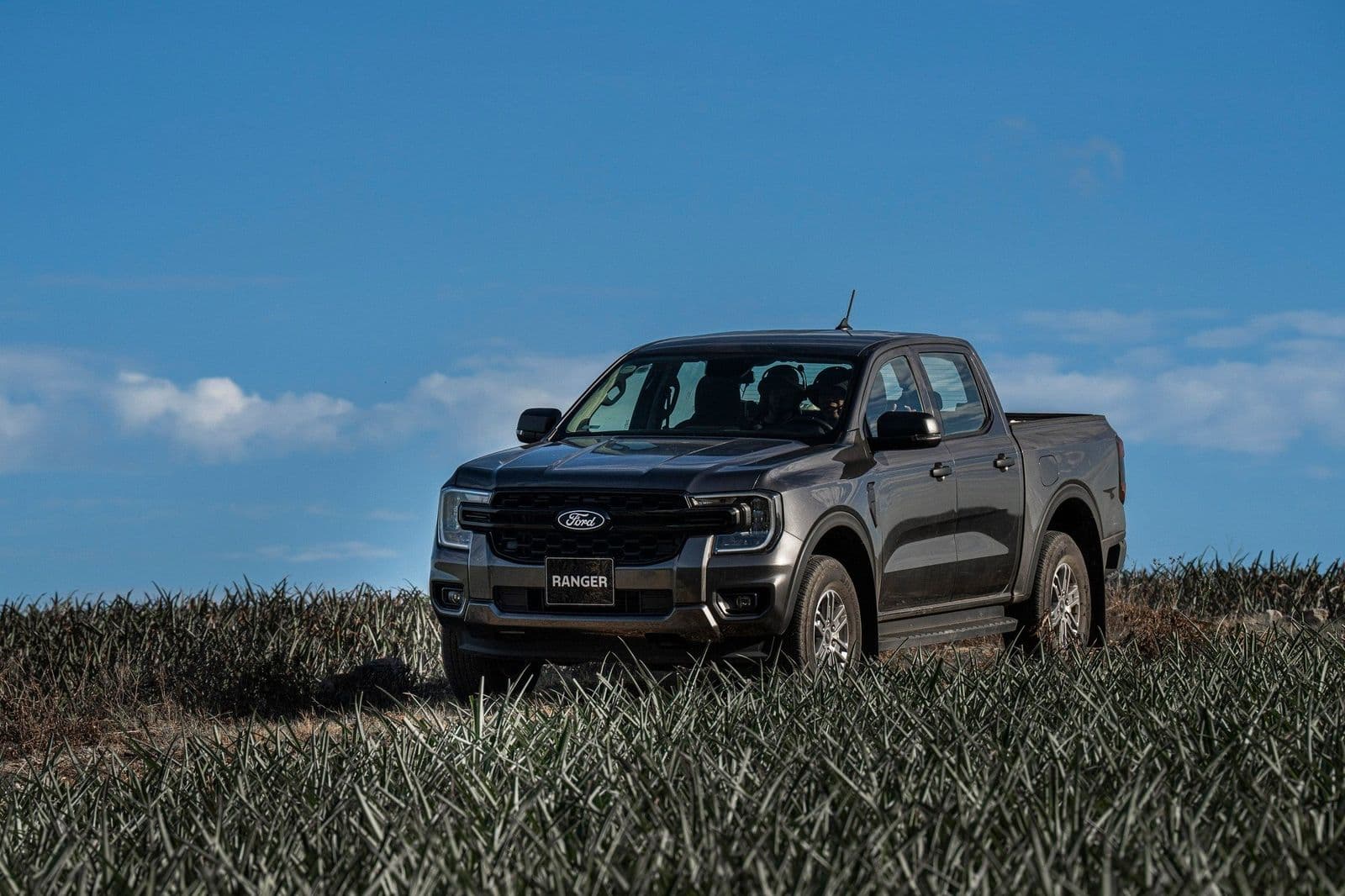 Ford Ranger 2026: Đồng loạt lên hộp số 10 cấp, nâng bảo hành 5 năm tại Việt Nam
