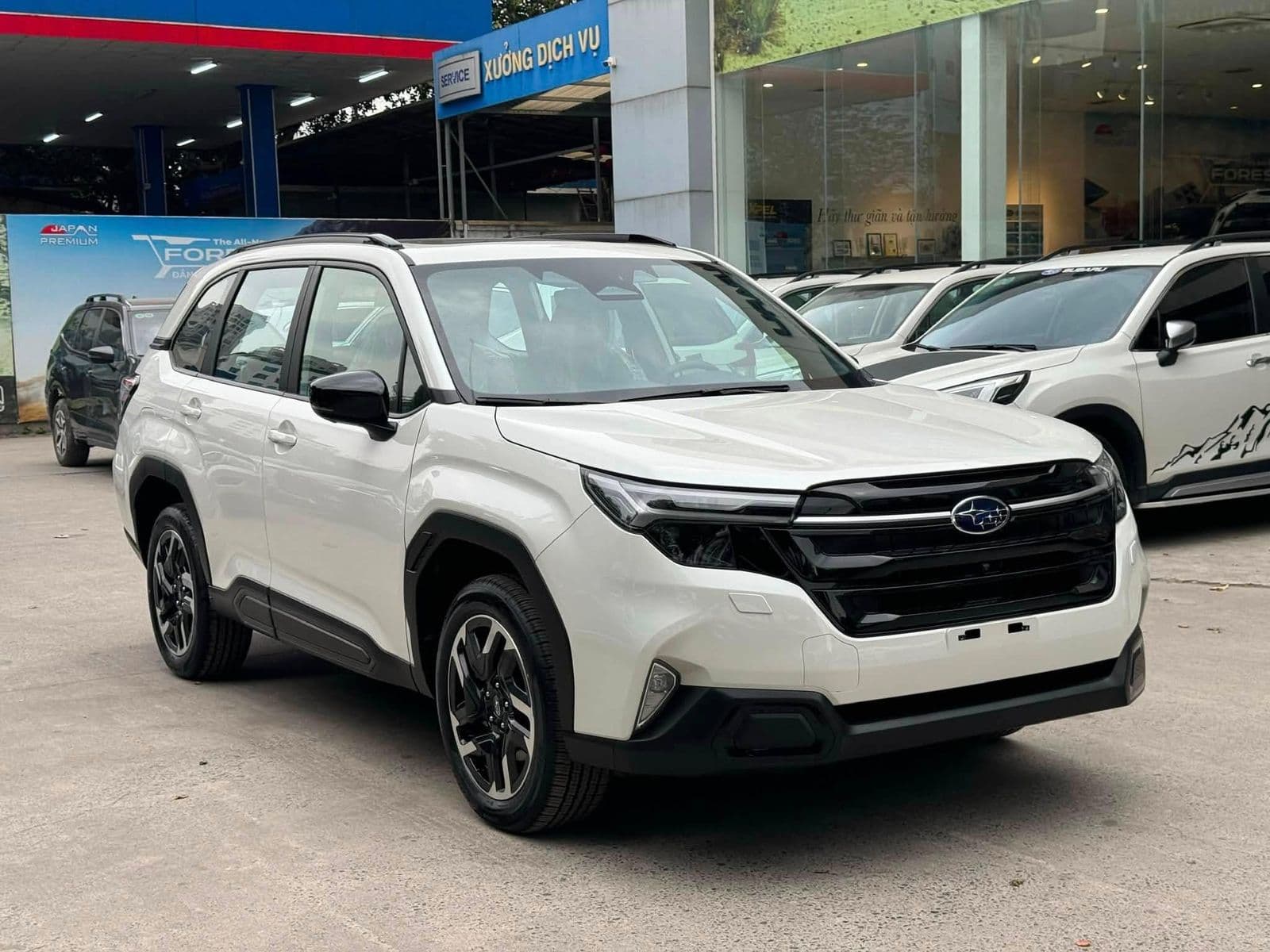 Subaru Việt Nam: Các vụ việc pháp lý và đợt triệu hồi tại Mỹ không ảnh hưởng xe phân phối trong nước