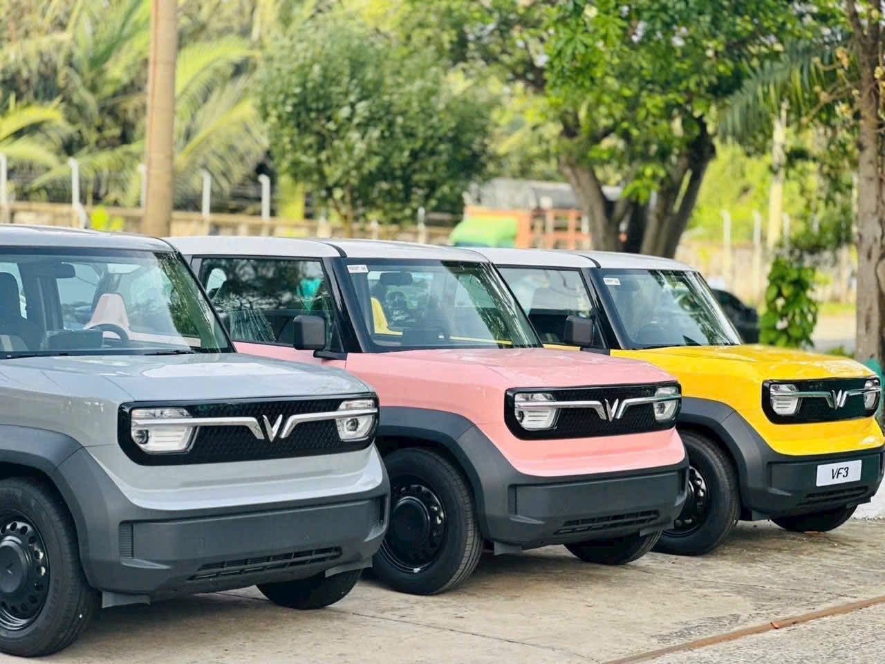 575067218_2037701153727679_1665643072530572623_n