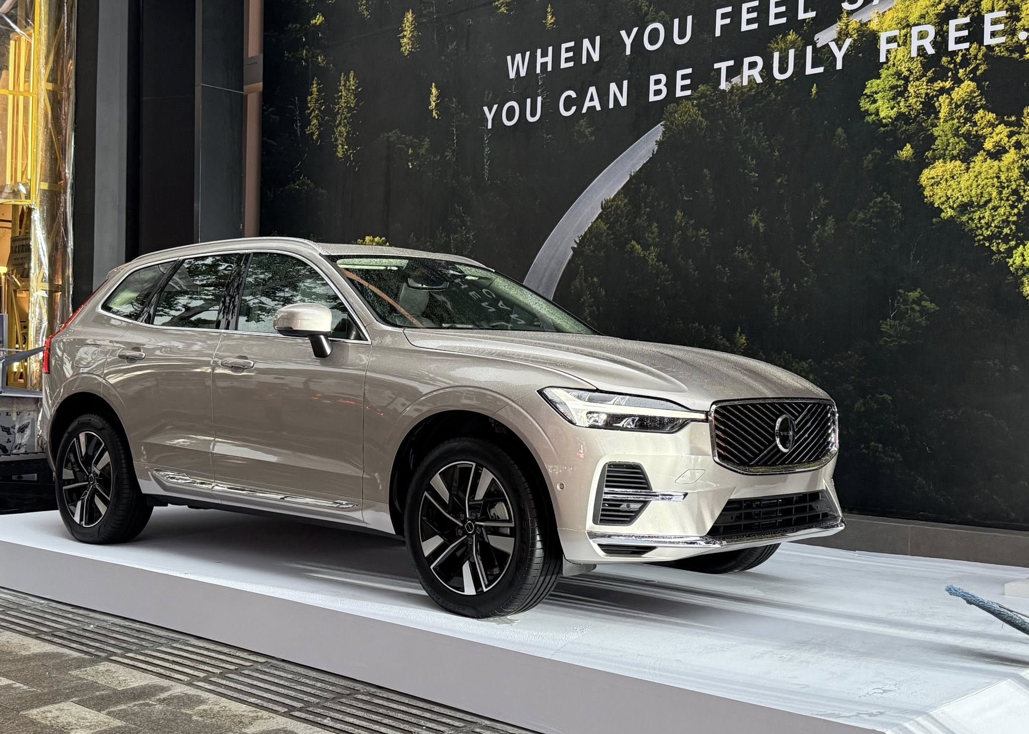 586156430_4433447226979679_5927064315949954508_n