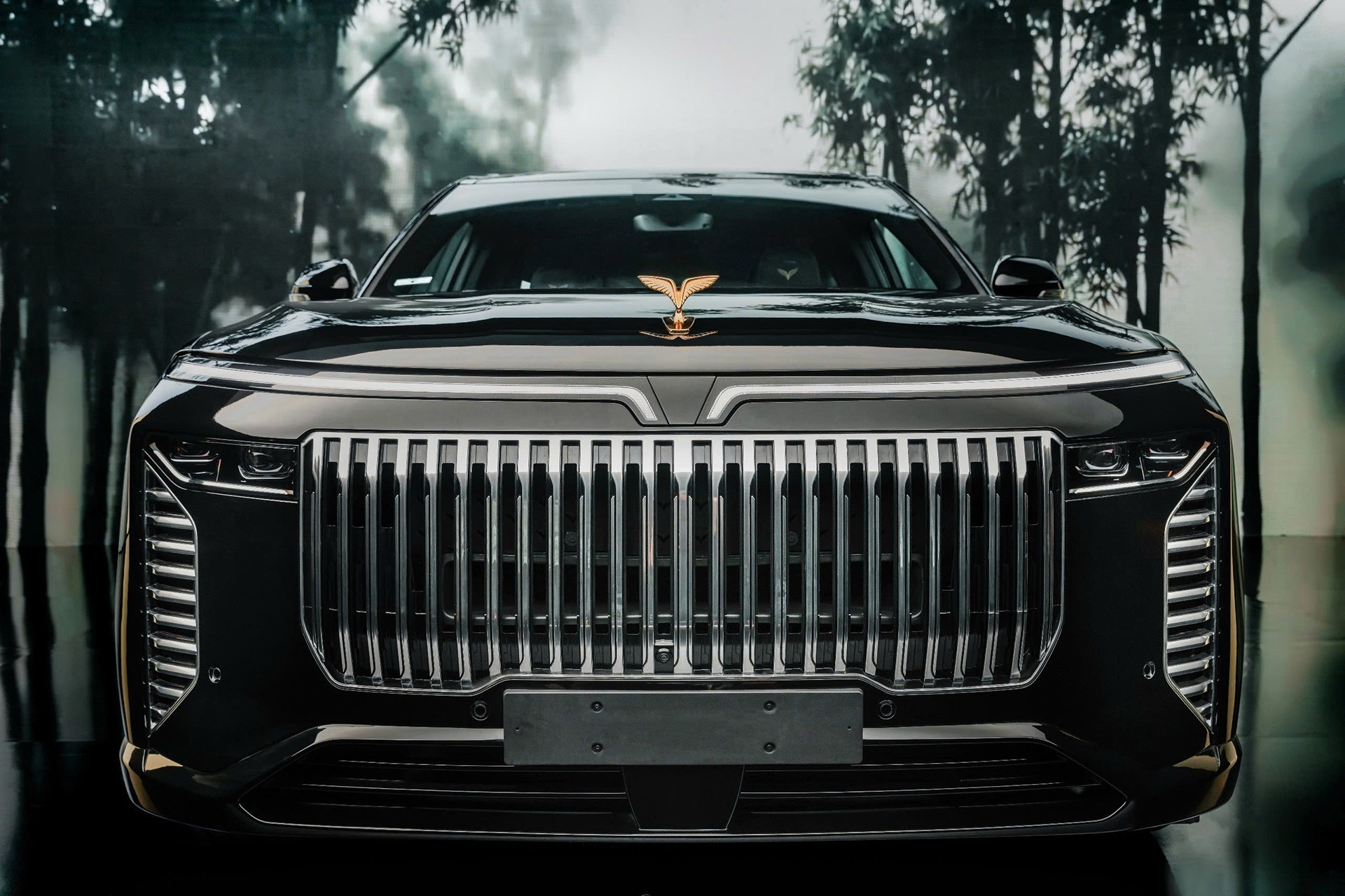 588046083_1484254649880862_1491298433420147136_n