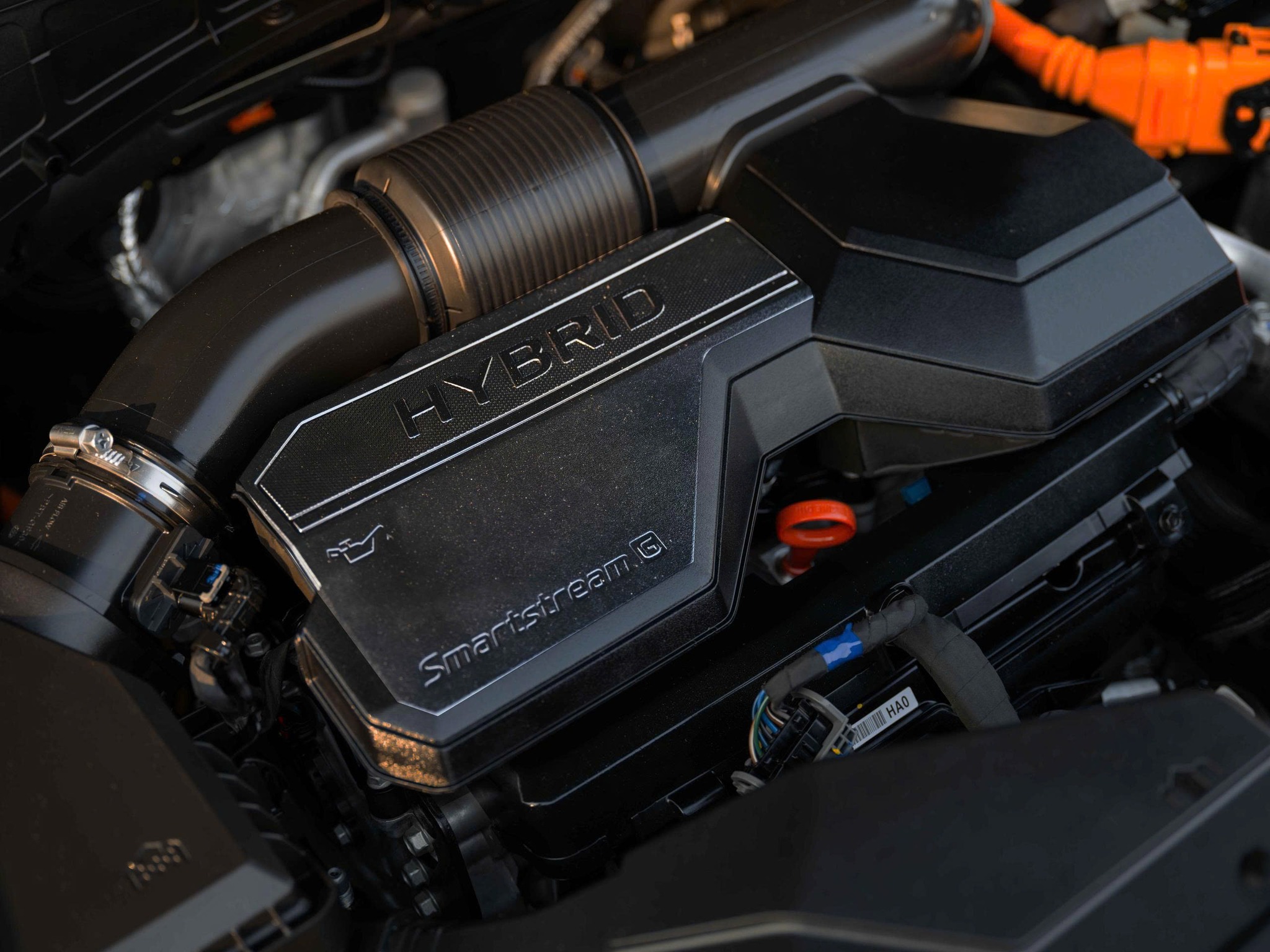 592905984_884404687255458_4003463995691946021_n