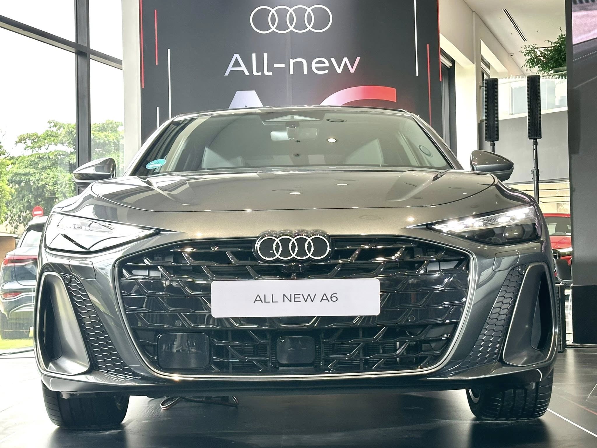 594312617_1299438725561290_469797953800454946_n