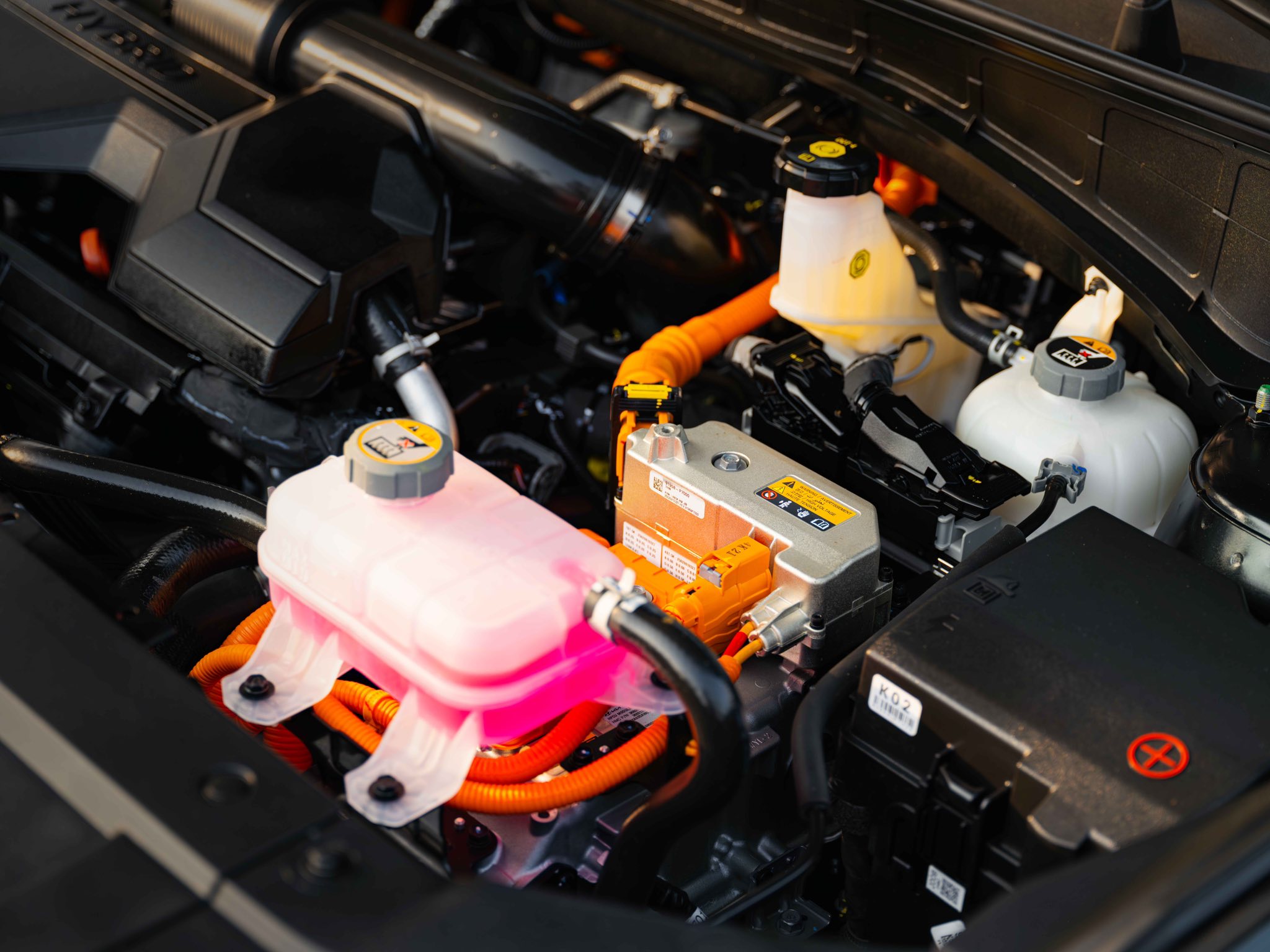 594390004_10231076700684432_4420945387276185252_n