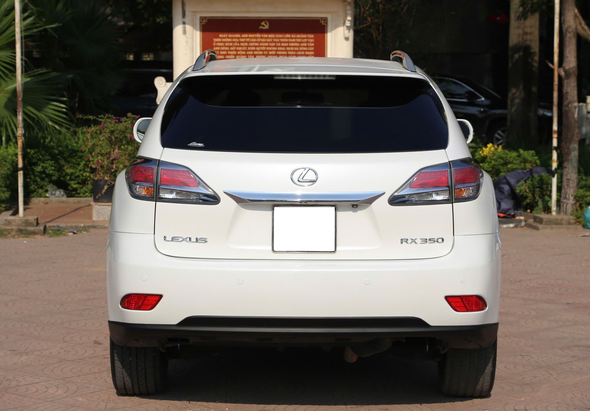 lexus rx 2010 (1)