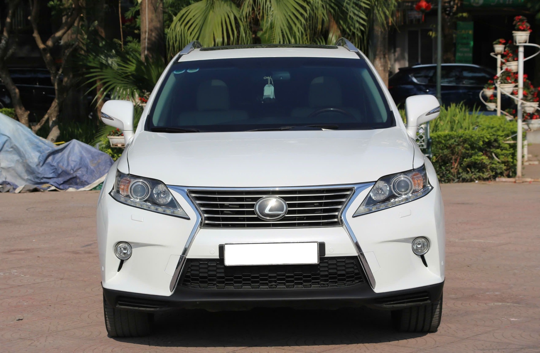 lexus rx 2010 (3)