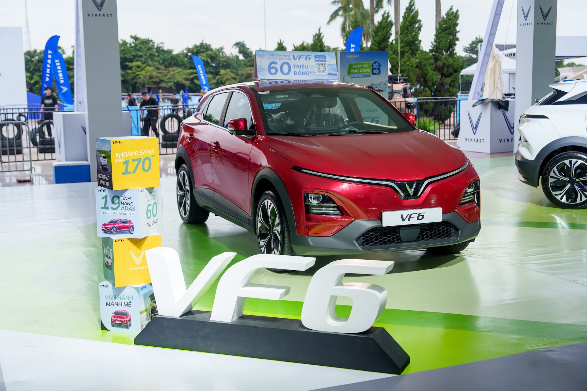 VF 6