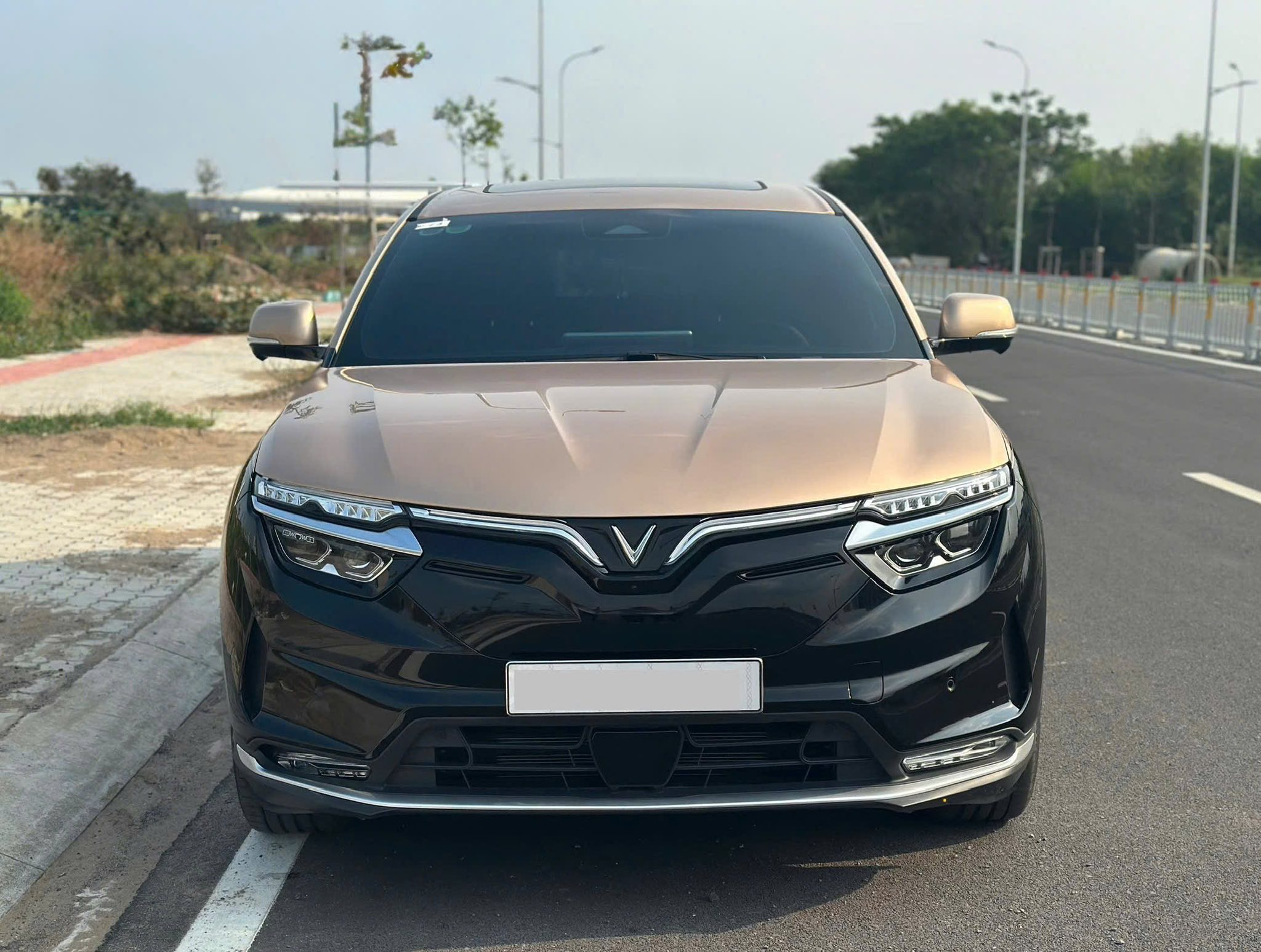 vf 83