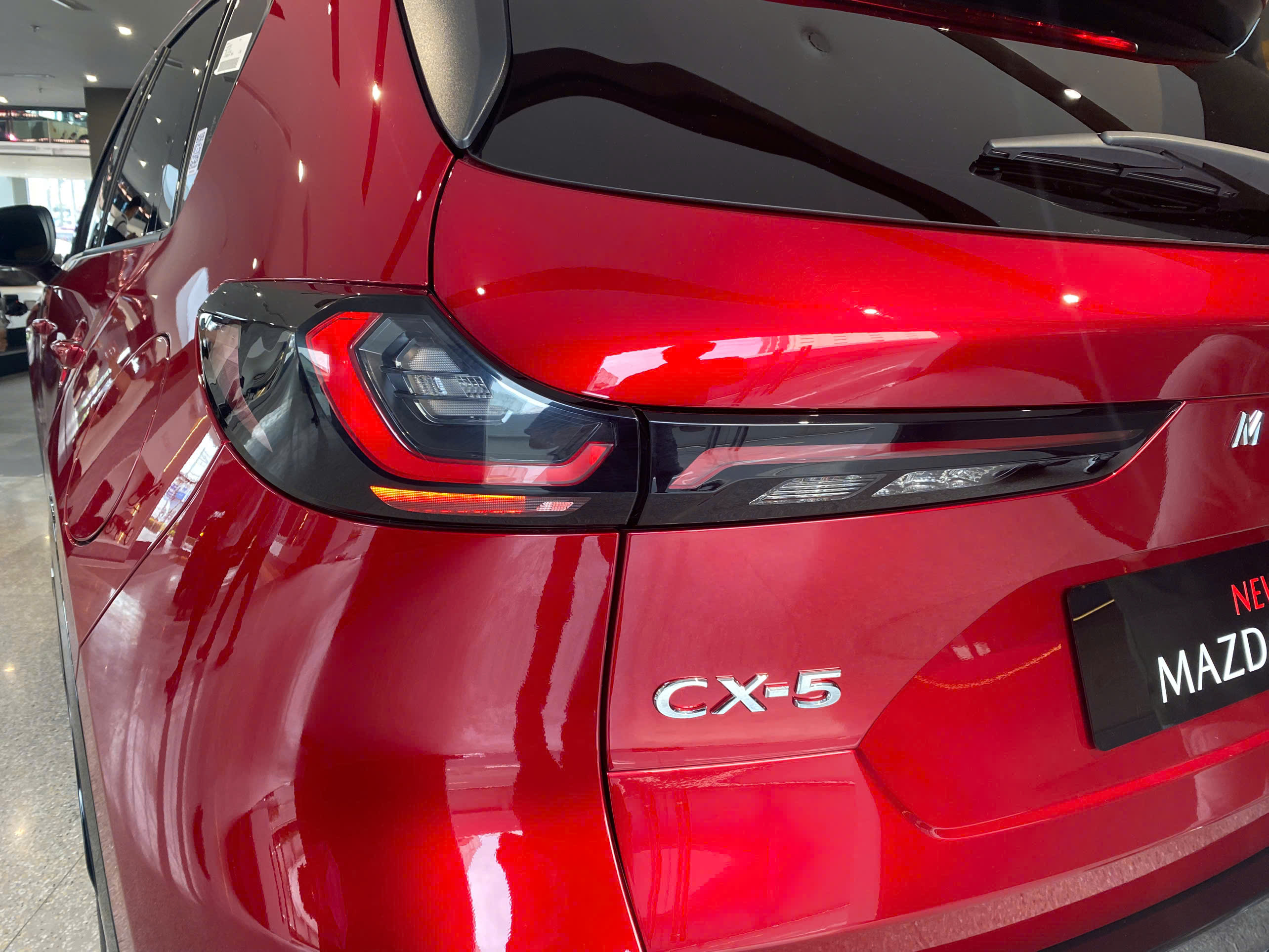 z7316280291142_ffe6ed3f5998c65d6ad20a245a84a0fa