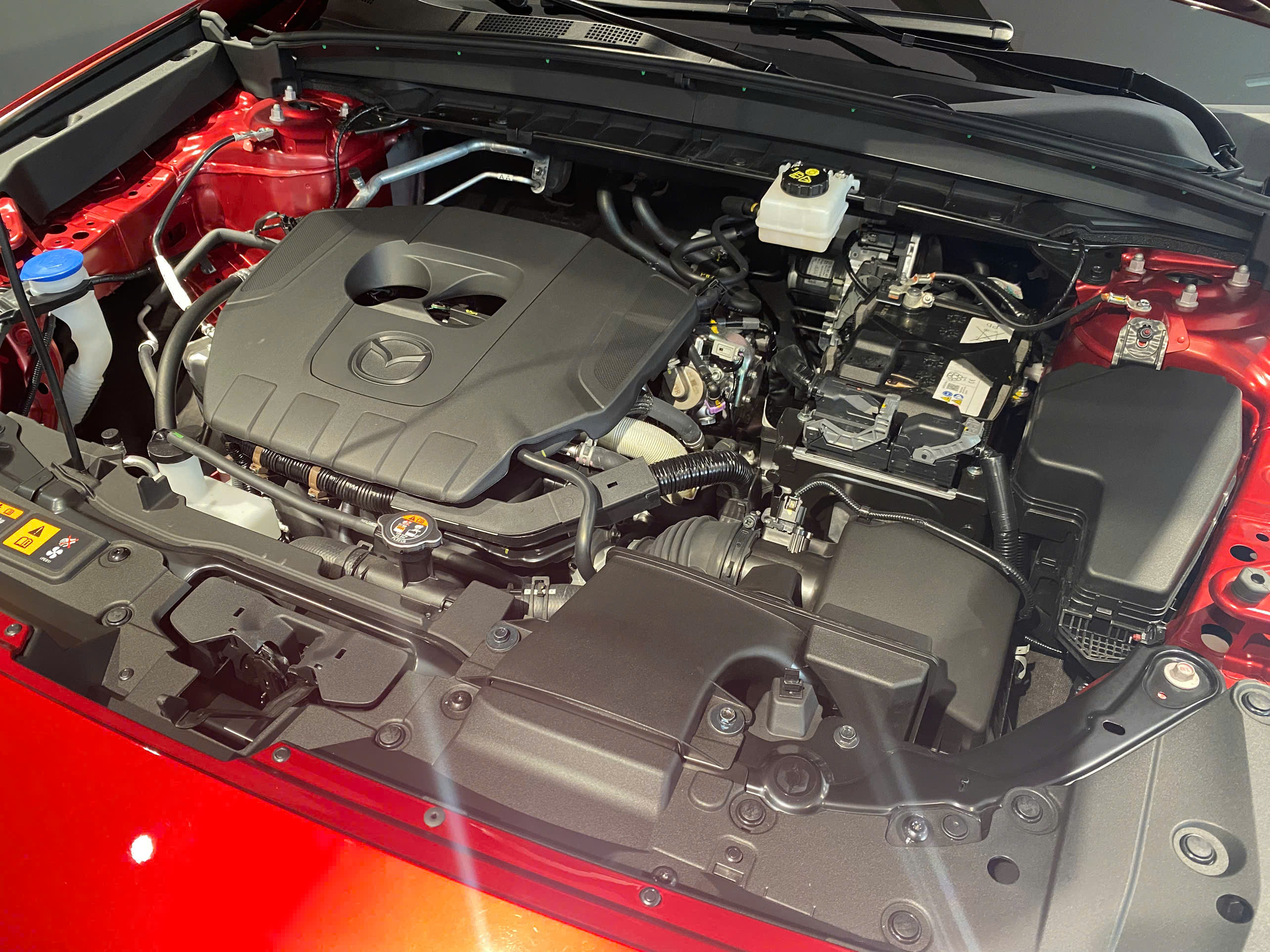 z7316280330501_2c09172888a907e3f8117297b387d596