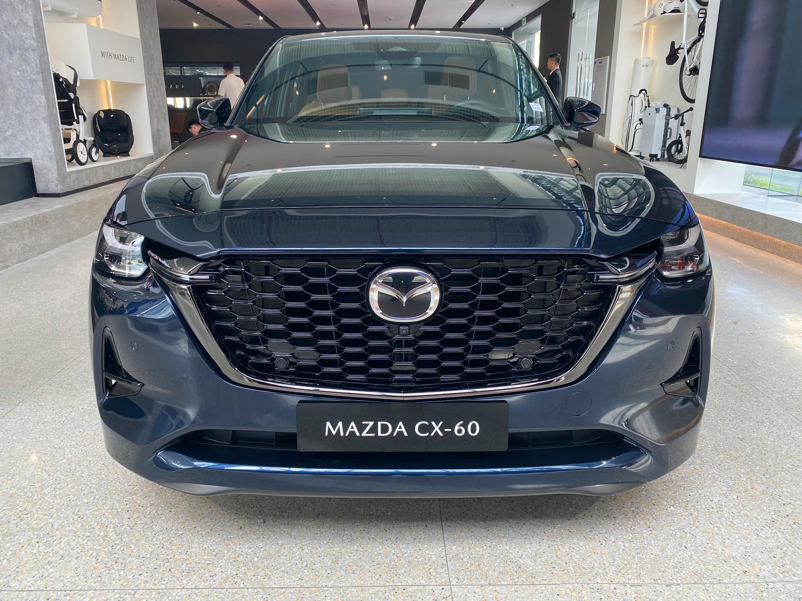 z7316281299177_eb17e5959beea57181f01c067129a5e8