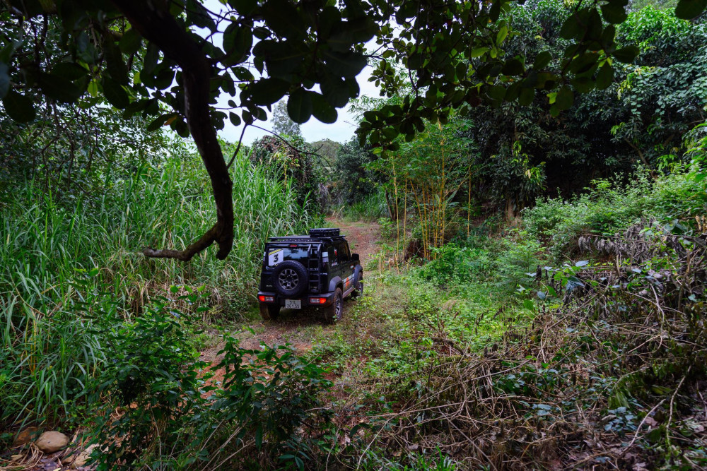 Trong cuộc đua rally vượt rừng cao su Đồng Nai, Suzuki Jimny bộc lộ những tố chất khiến bản thân  các tay lái tham gia đều ngạc nhiên.