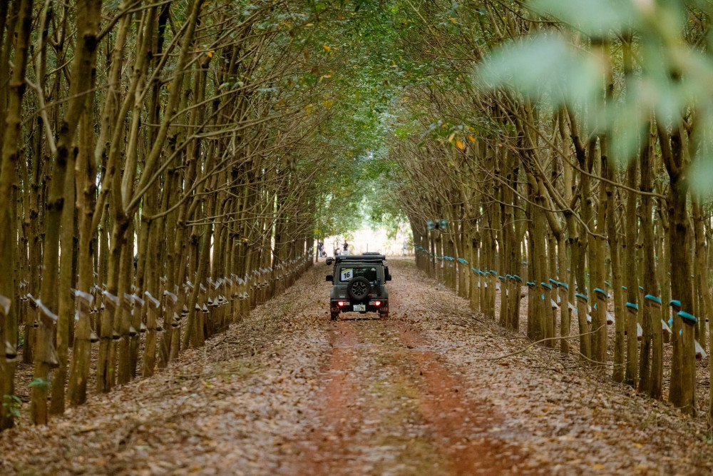 Bản chất của Rally là một cuộc trường chinh đến vạch đích. Trong đó người chơi phải tự mình tìm đường, vượt qua các dạng địa hình phức tạp, chinh phục vô số thử thách bất ngờ mà cung đường mang lại.